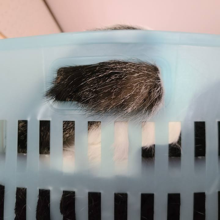 770a8579 f89d 4019 b170 b87798a55483 1657698268767