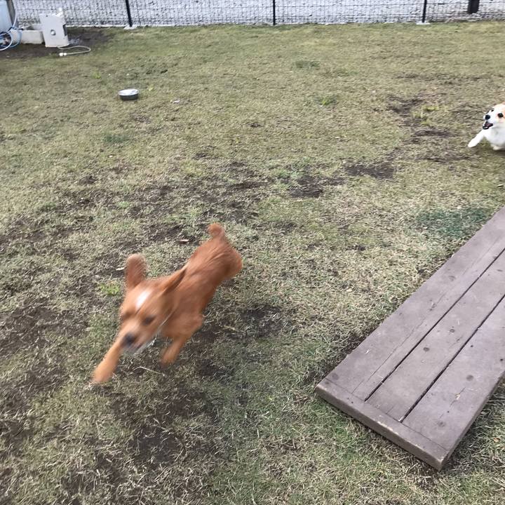 770aa3ed 63b2 451e a4ee 727287725fd9 1540023148626