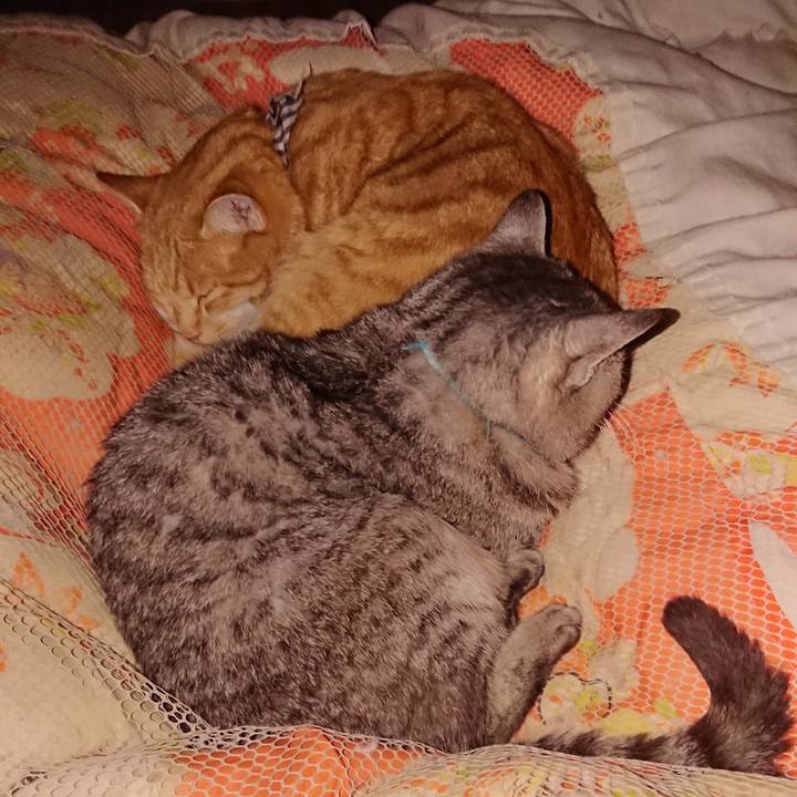 770aee4c 7c17 4ae2 a757 99ab102b3974 1574265833338