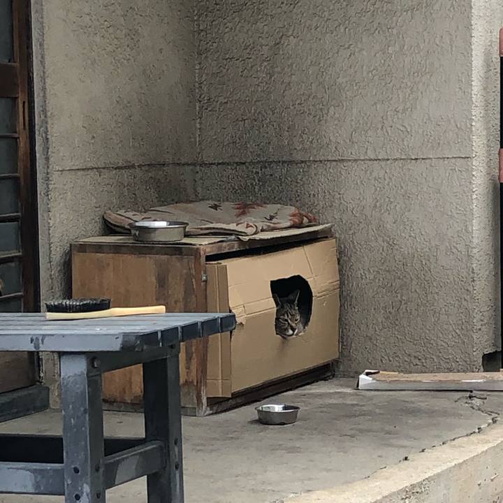 770b2643 8087 454f 8e9f 40d62503bd18 1621175818021