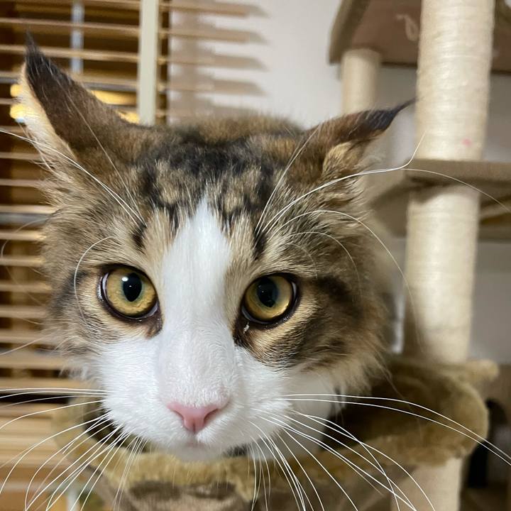 770b368c e964 4baa bbe1 ba857525e508 1638390876513