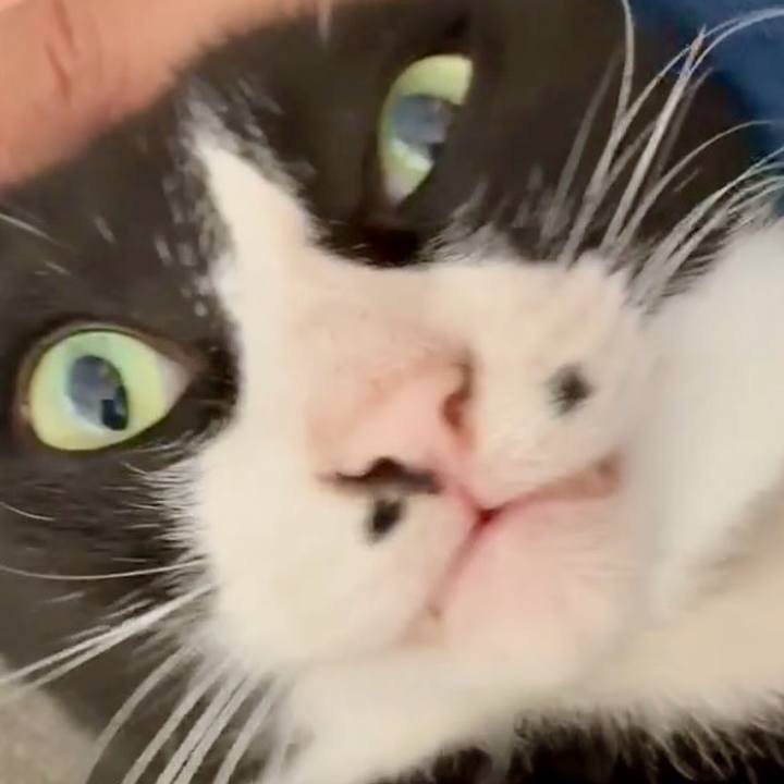 770b411d 8d6c 4f7f be0d dc9b694b3436 1756263417307