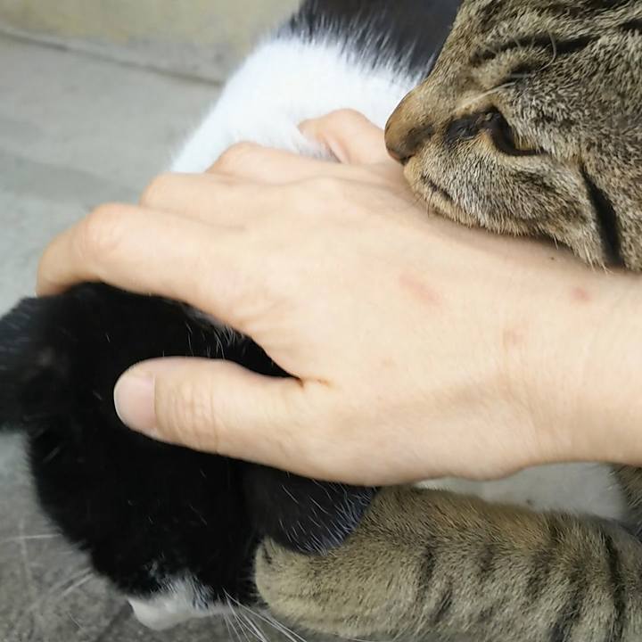 770b883f 5a9c 4d13 bb8e cf5618d4bc13 1555239080234