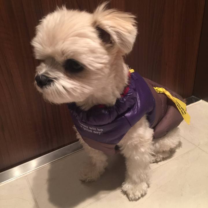 770bc499 2e9b 4b8a a537 663e920256f0 1512735052632