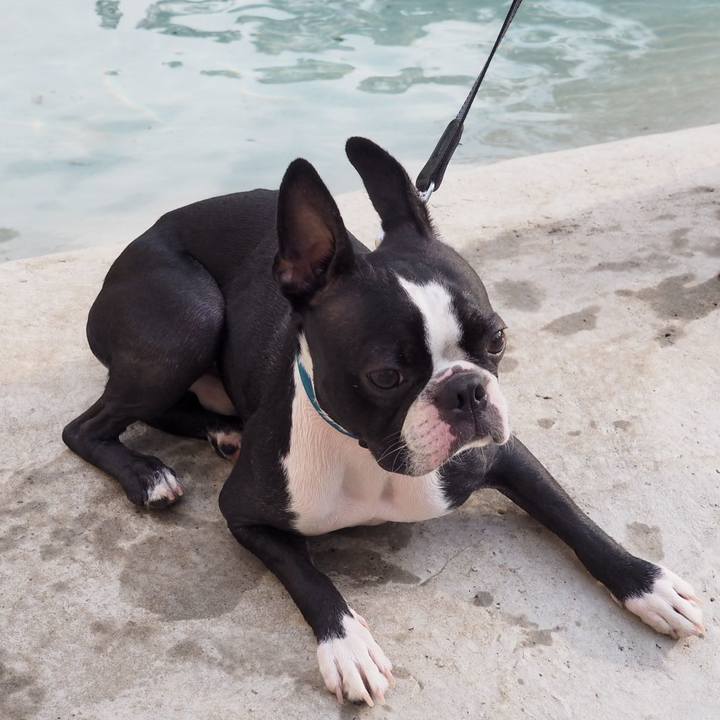 770bdfbe 6568 4ba2 9a84 e2f3ad683eec 1567124083882