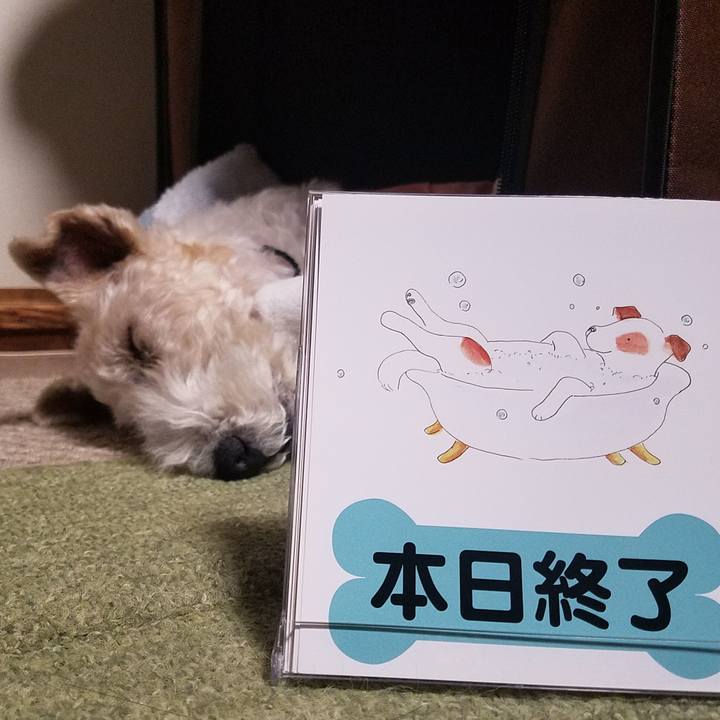 770c6839 28ef 41b9 96a0 97c36b7c48a3 1546015624509