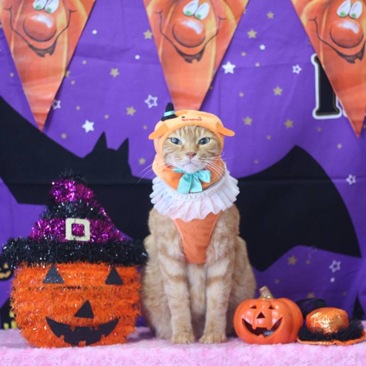 770c85aa ea3e 494f 9a6e 4995ed4a1d21 1666077293684