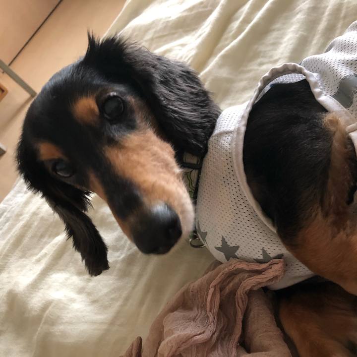 770ced9d e37d 49a7 b2f2 84b1500b4024 1537048510320