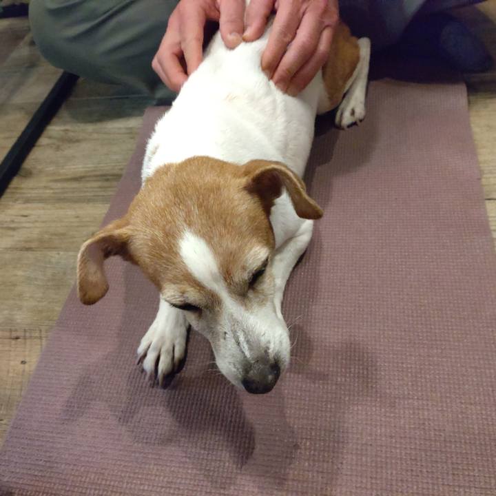 770cff35 a458 4690 a0f1 107ec533f0d2 1768394130383