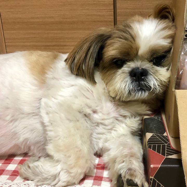 770d00ef c9aa 4ddf b47a ac1aa615678c 1567349557693