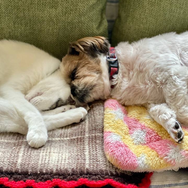 770d3990 851f 42e1 8c82 5ef8d7e07d5e 1665968770640