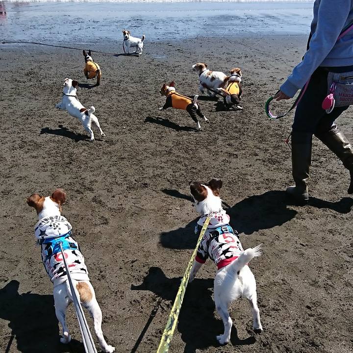 770d47de a495 41e8 a4b8 f1629408aedb 1553394195309