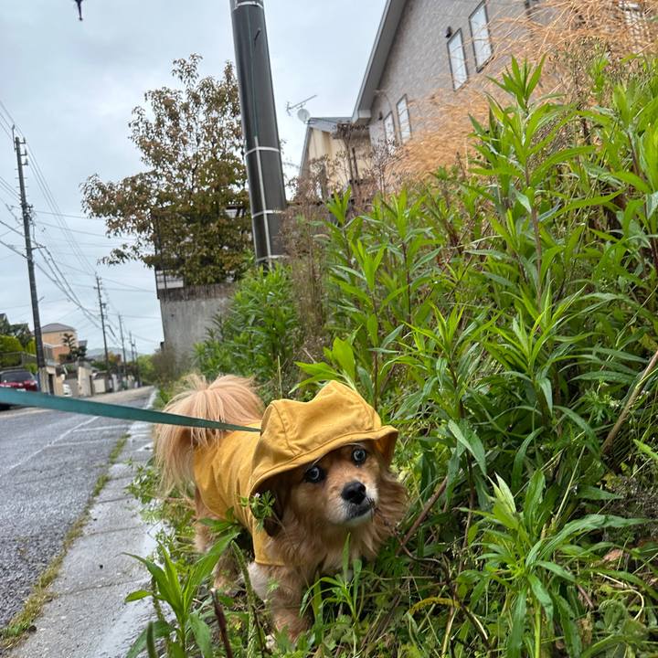 770d6b55 ae4c 4961 a368 98c481463e50 1682457272142