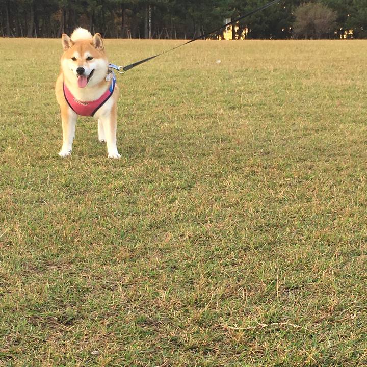 770d7046 099c 45b5 8284 20cb407d4d38 1539074521161