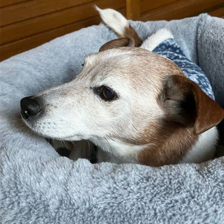 770d79b0 a206 4791 b0b2 d9c4e772502b 1765497861379