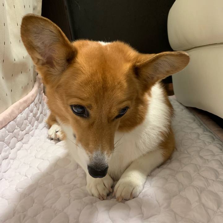 770d8a59 a5e8 4422 a092 8dd420266612 1571611650146