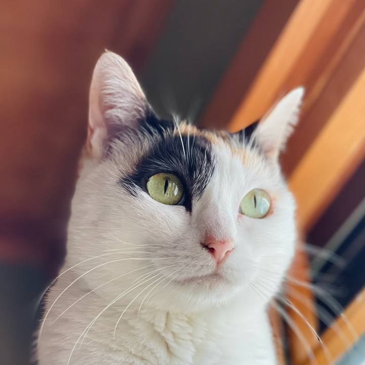 770d94dd 3e6f 4f18 96ee c2d6ec85d90a 1655173611541