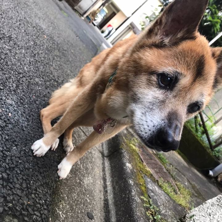 770dae12 9316 48c5 aba8 83633b1ae22b 1558476046728