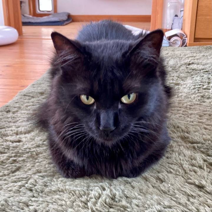 770dc7bd dd39 48b3 ba85 141a82df2163 1747356269125