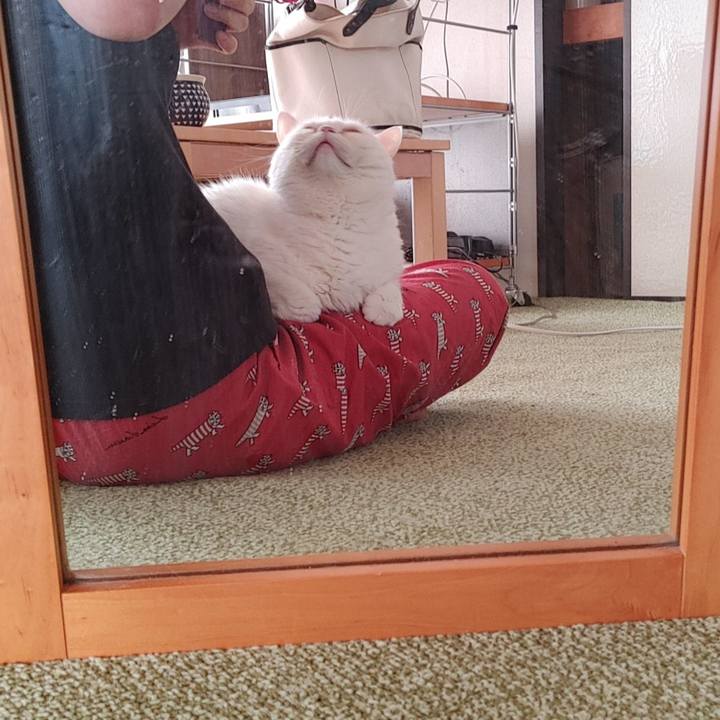 770dd266 5eef 46f3 ab5c 68a52beca17b 1713844704434