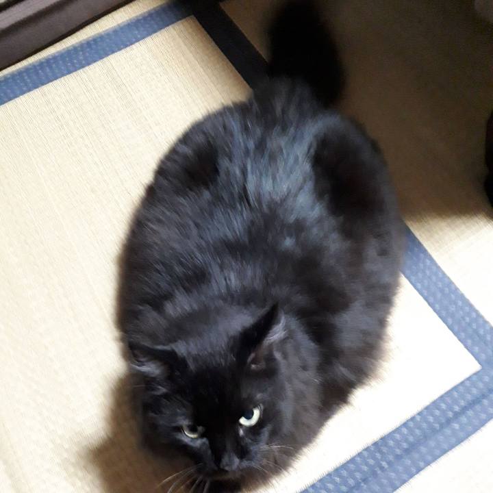 770de403 017b 47e0 afd7 3b94ebd8263a 1535013617398