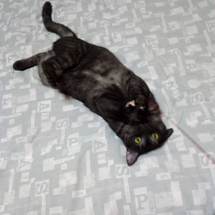 770df083 8fda 423c 8a00 1f01733d38b4 1601724026435