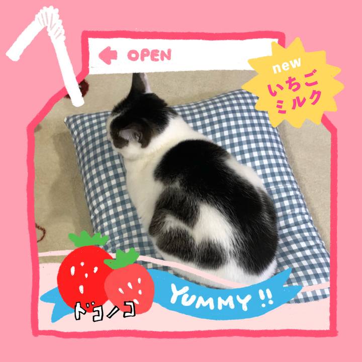 770e1d63 6f6f 4b42 9420 d6e66ac99840 1711022417578