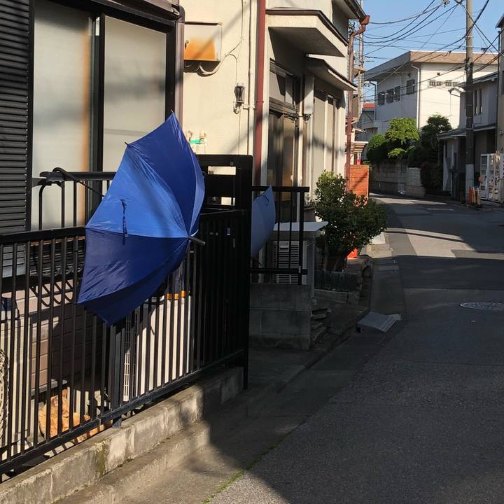 770e5956 db66 4cba 8c1a c5ffb9730922 1524126929039