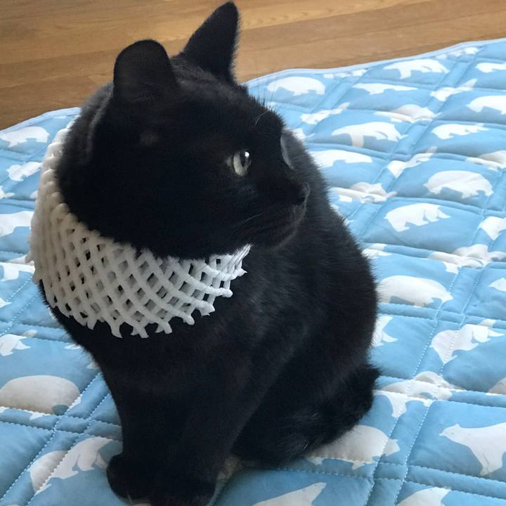 770e844f 7251 4fb4 b5b7 4b8a78b6a9d0 1565573038792