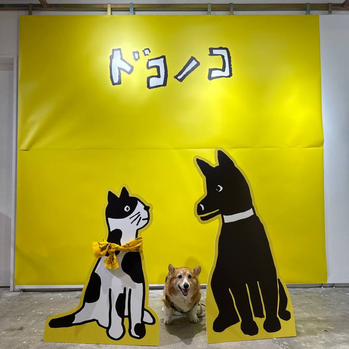 770e933f 21a6 4101 ab18 f7aded7410af 1762141663974