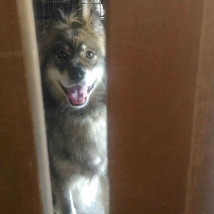 770eb706 f572 4bcb bdf7 b7b3ea5a8613 1567870959075