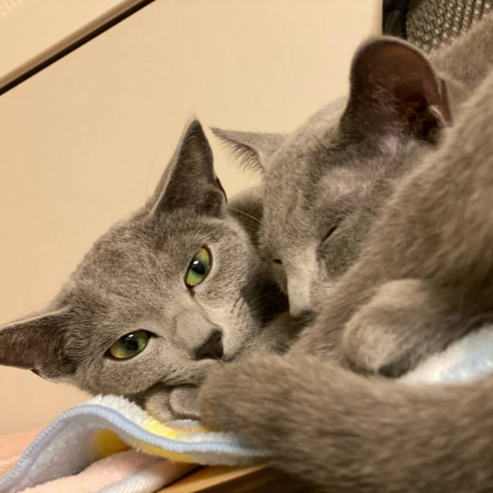 770ec0aa d19a 49a1 b0e8 80a8862950e4 1607249938265