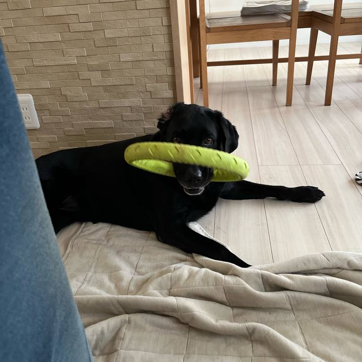 770eedc9 f83e 4a56 9811 ba11cd980aa4 1690684713369