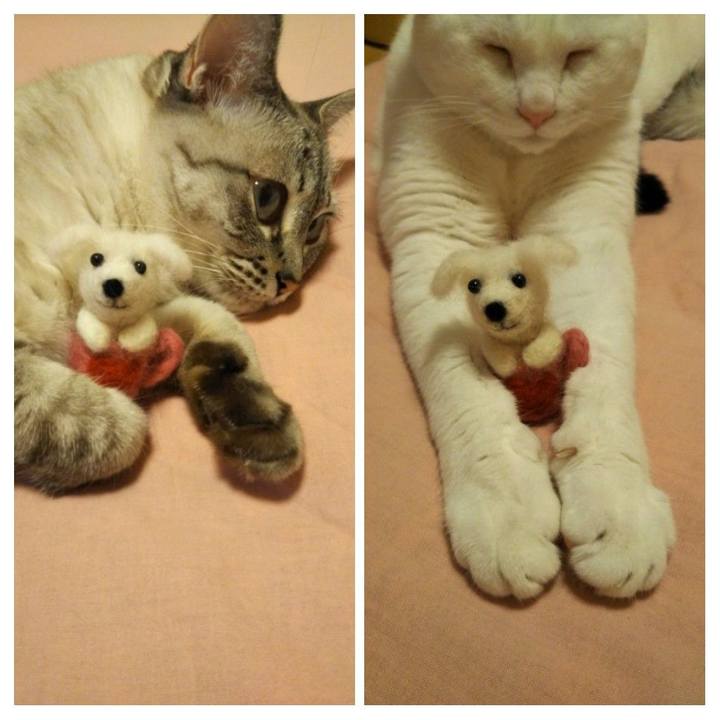 770ef4e3 309f 4721 98ad 93bf21dd5940 1534257271814