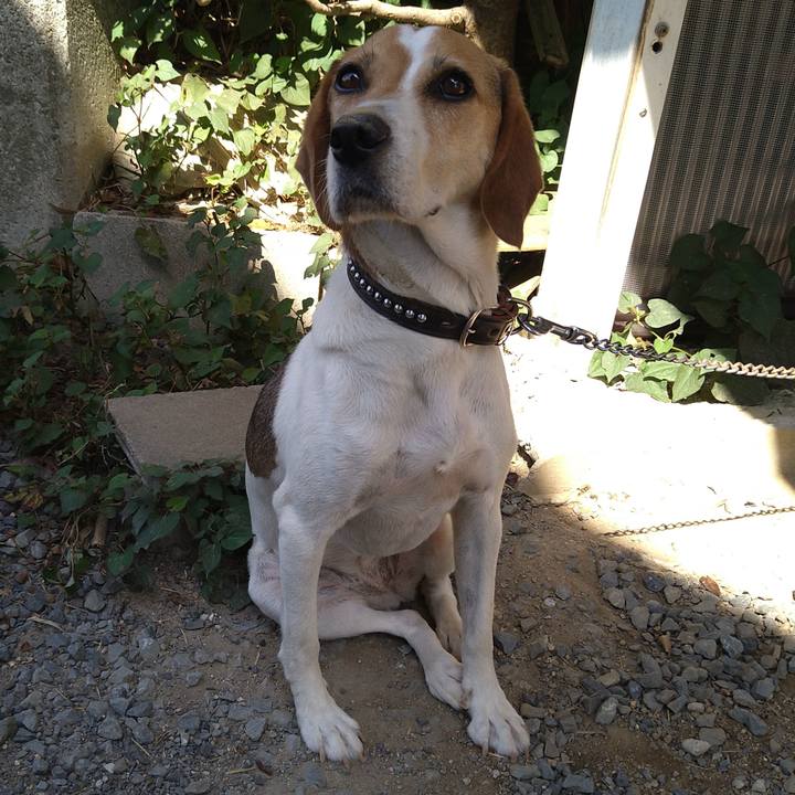 770f049f 0bf5 43a4 85ef e6dc1f6c3fca 1658658489002