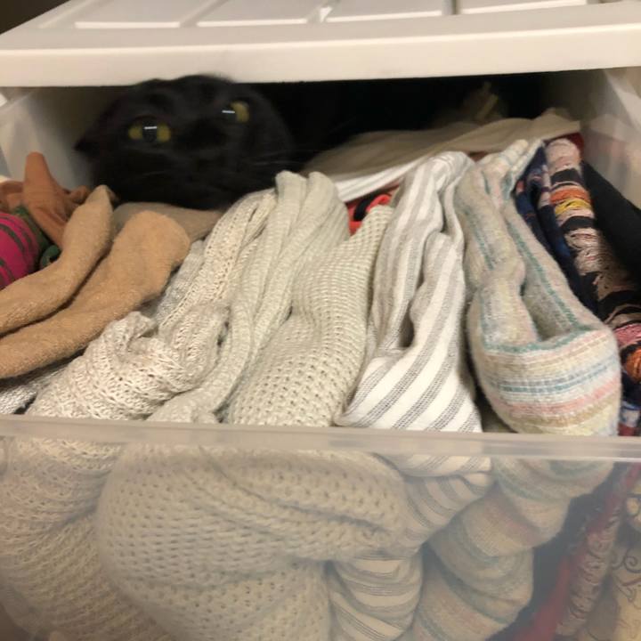 770f060b ed0e 49b9 83bf a7a295f7c9f7 1574895283296