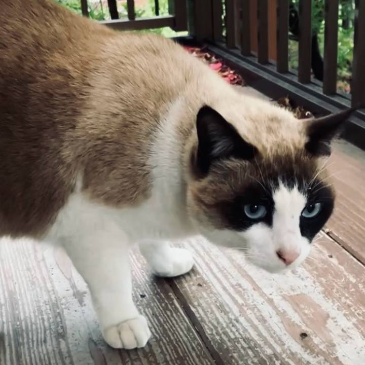 770f0f49 f9f7 4b20 b873 afdd07a479ef 1741062837057