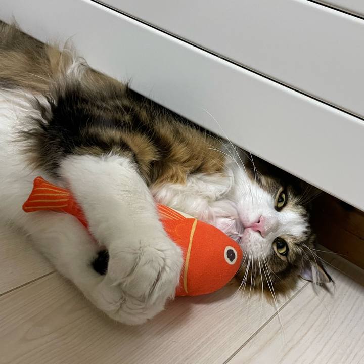 770f268b 5c77 4d51 ac96 03467b333fa3 1656327839223