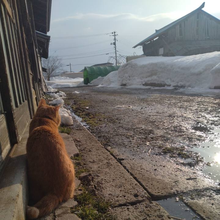 770f6608 4f00 499a 8b55 c79a28438288 1676676705718