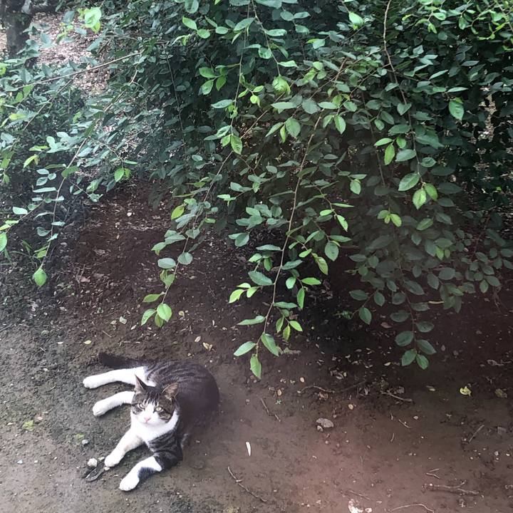 770f9eda f262 43d4 a974 59b38d7d27b0 1562999625483