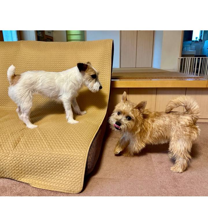 770fb837 c986 4ead 8fbb 90e09ac09f14 1721178959903