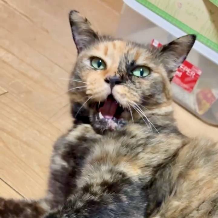 770fc25e 9515 4381 b324 c89443453fef 1754649003571