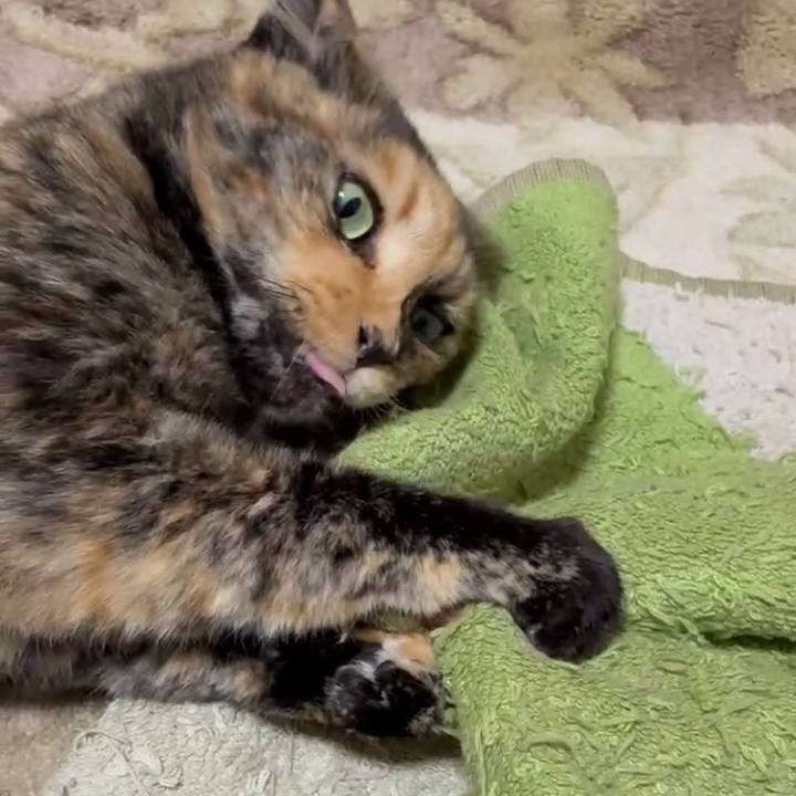 770fcf17 089b 43c1 ac81 5561d9076166 1750884223398