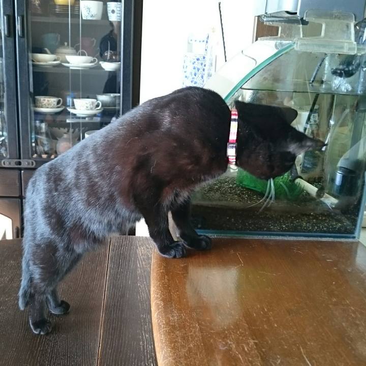 770fd339 588e 4e9a 8913 8232effd4c8e 1516951988328