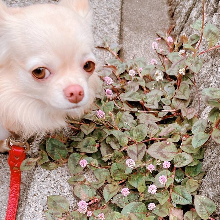 77100c3b c321 4156 adb2 b890e38fa4ea 1652778360229