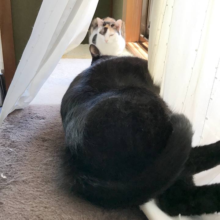 7710172d a881 4a6f acb7 b79ab5708e93 1535330461701