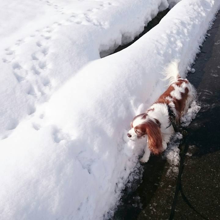 771033ee 24c5 4261 90da ce80789cfa0e 1547874834223