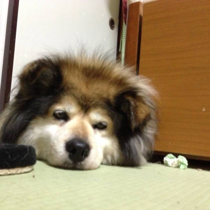 771057bb b10d 45b4 9887 ae909025b056 1564767837507