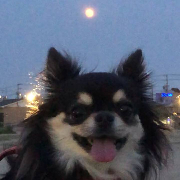 77108baa 9eb4 4b65 80ad 1190c72a5be3 1591354190144