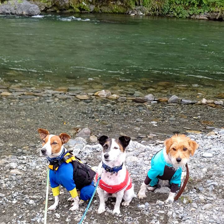 77108ea8 dbde 483d b18a f8fa62d782c8 1661001333717